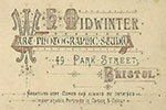 W.H. Midwinter & Co.