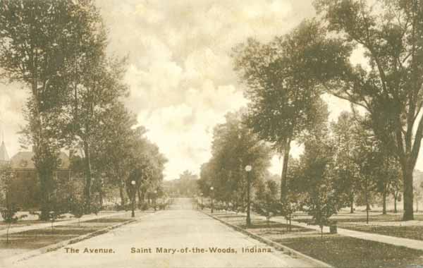 The Avenue - St. Mary of the Woods College, Terre Haute