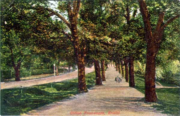 Promenade, Clifton