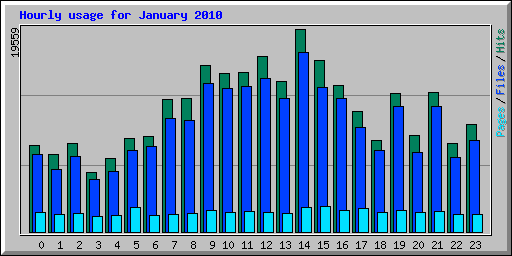 Hourly usage for January 2010