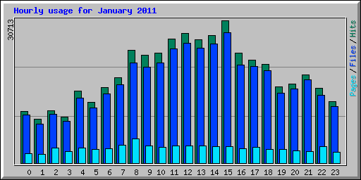 Hourly usage for January 2011