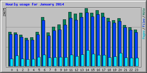 Hourly usage for January 2014