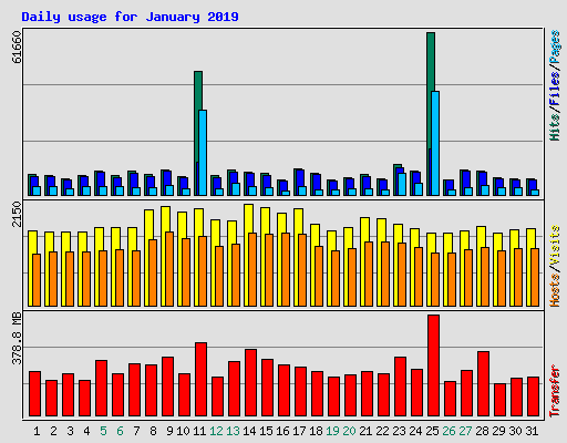 Daily usage for January 2019