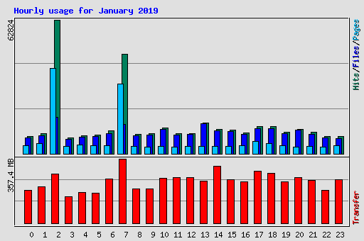 Hourly usage for January 2019