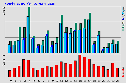 Hourly usage for January 2023