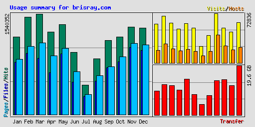 Usage summary for brisray.com