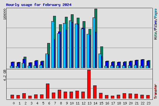 Hourly usage for February 2024