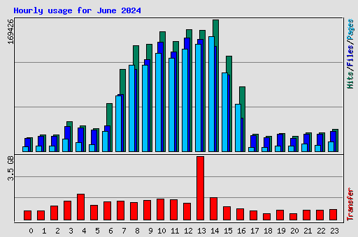 Hourly usage for June 2024