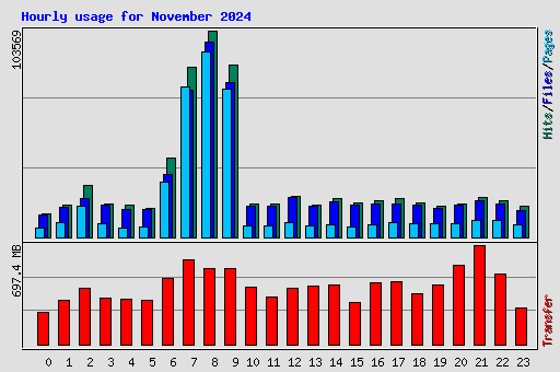 Hourly usage for November 2024