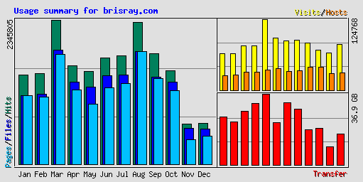 Usage summary for brisray.com