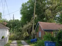 Storm damage, 29 June 2023