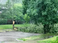 Storm damage, 29 June 2023