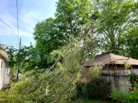 Storm damage, 29 June 2023