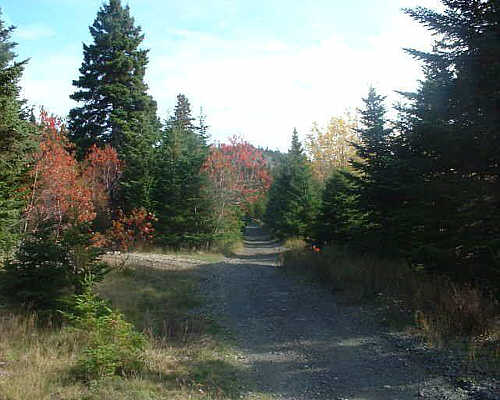 Bristol's Hope, Newfoundland