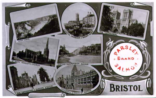 Bristol Multiview