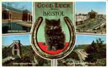 Bristol Multiview Postcard