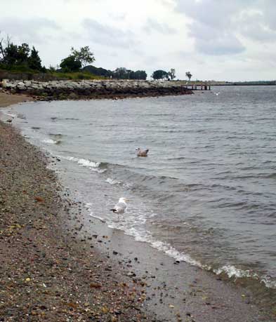 Colt State Park shoreline