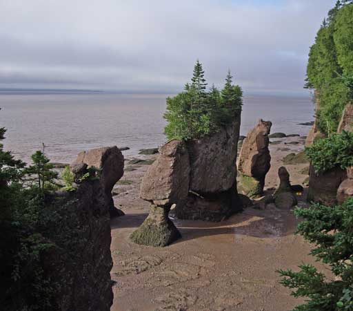 Hopewell Rocks