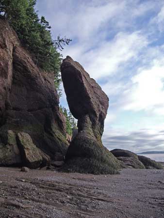 Hopewell Rocks