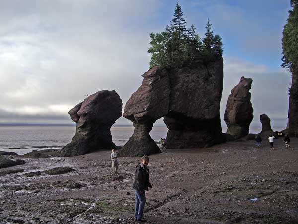 hopewell Rocks