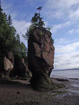 Hopewell Rocks