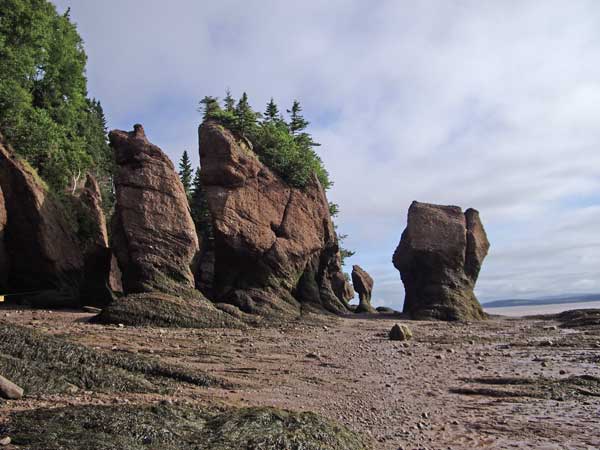 Hopewell Rocks