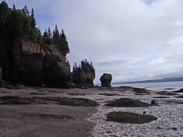 hopewell Rocks