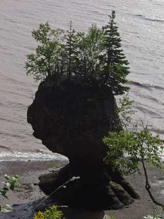 hopewell Rocks