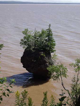 Hopewell Rocks