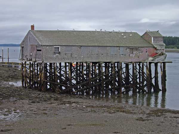 Abandoned wharf, Lubec