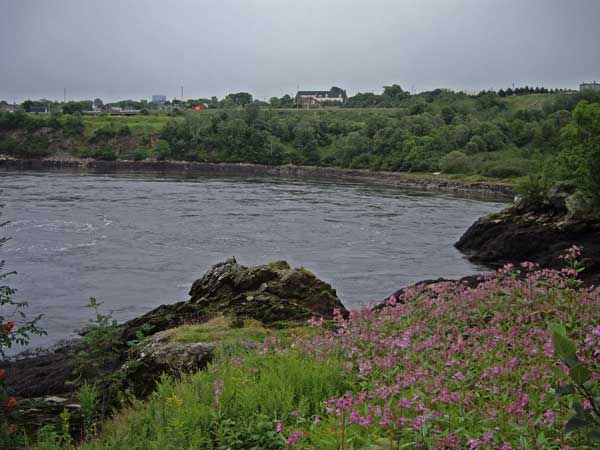 Reversing Falls