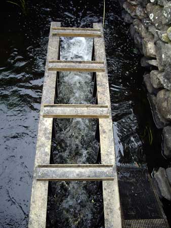 Fish ladder