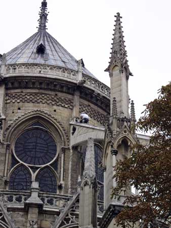 worker on Notre Dame