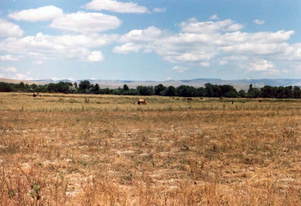 Kentau landscape