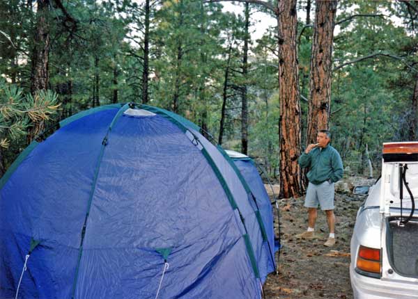 Kaibab Forest