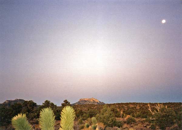 Mojave Desert