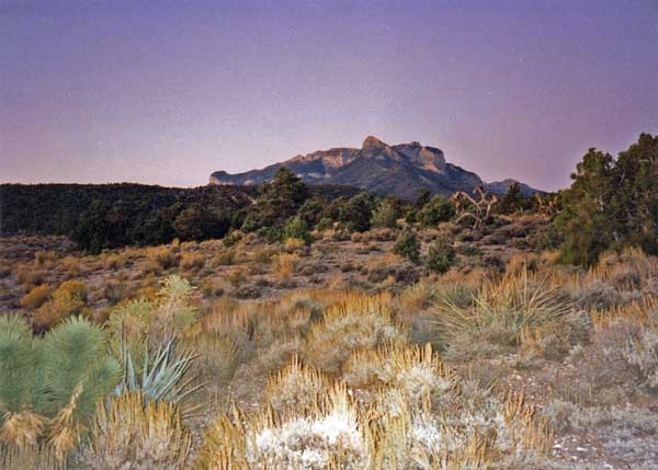 Mojave Desert