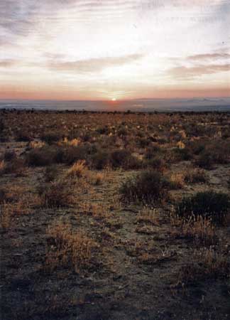 Dawn in Mojave Desert
