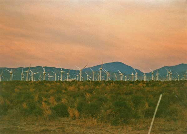 Mojave Windmill Farm