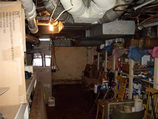 Tidied Cellar