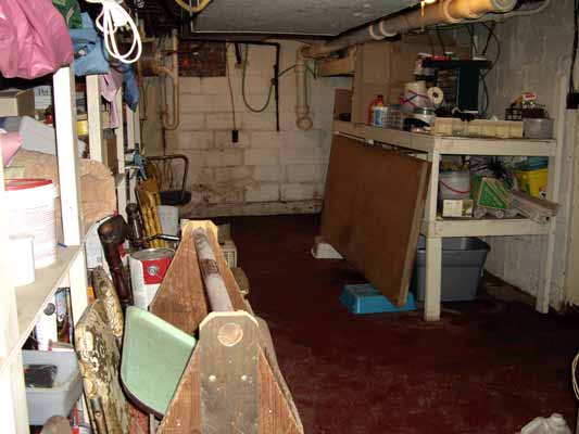 Tidied Cellar