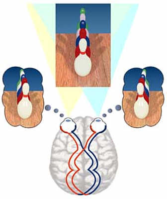 Stereopsis