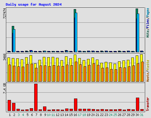 Daily usage for August 2024