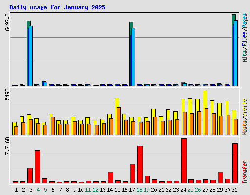 Daily usage for January 2025