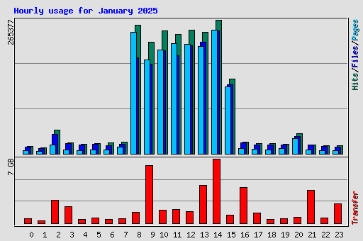 Hourly usage for January 2025