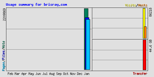 Usage summary for brisray.com