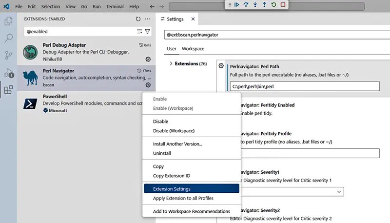 Perl Navigator settings