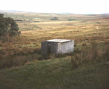 field toilet